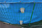 Vouwbare 50000 Liter pvc-van Geteerd zeildoekvissen de Vijver met Staalnetwerk