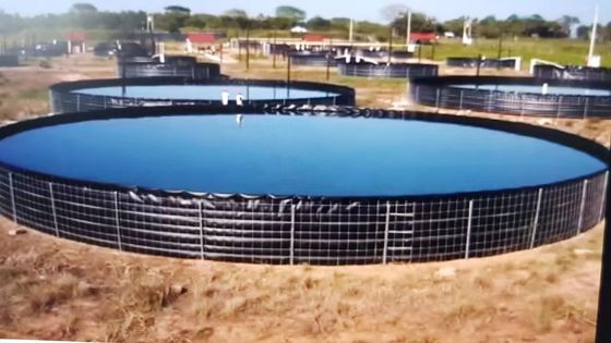 16m Diameter 301.440 liter Opvouwbare ronde visvijver PVC-doek Buitenvisvat