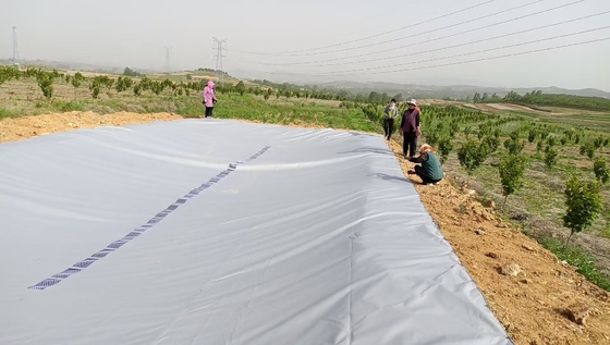 Groenhuis regenwaterverzameling PVC-doek wateropslag voor irrigatie in de landbouw