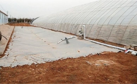 Groenhuis regenwaterverzameling PVC-doek wateropslag voor irrigatie in de landbouw