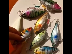 Plastic Baits Zeevisserij Laser Bionische vislok