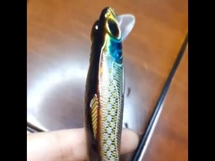 Plastic Baits Zee visserij ver gooi hard aas