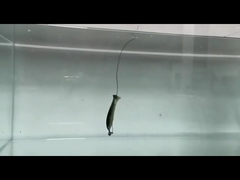 PVC Loach Soft Lures Silicone Fake Soft Bait Vislok