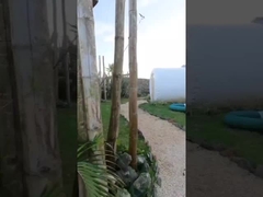 Hotelkamer Buitenhuis Opblaasbare bubbeltent